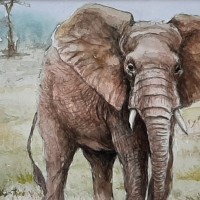 Elephants1-Aquarelle-30x24-cm